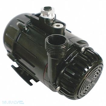DAYTON Pump Submersible 1/10HP, 12U598