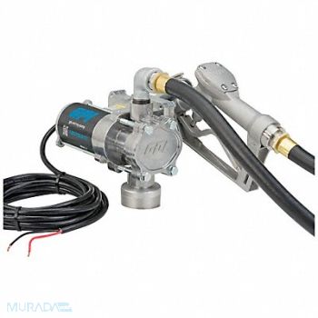 GPI Fuel Transfer Pump HP 1/10 12VDC, 56FK26