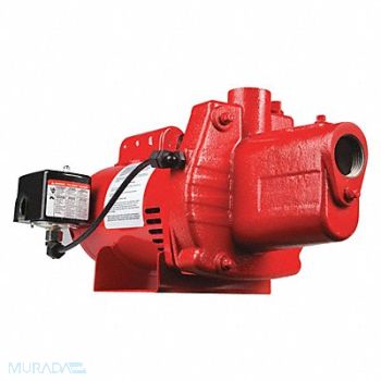 RED LION Jet Pump 3/4 HP Cast Iron 115/230V, 147R96