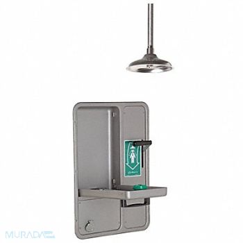 HAWS Showerw/ Eye/Face Wash Lab Combination, 16D410