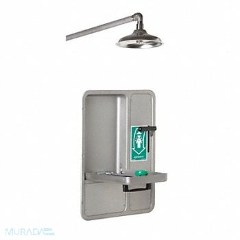 HAWS Shower/Eye Face Wash Lab Combination, 16D412