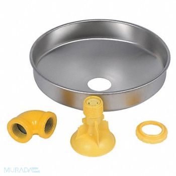 BRADLEY Stainless Showerhead 10 In Dia, 1FBG2