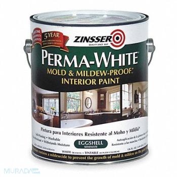 ZINSSER Latex Acryl InteriorWhite Eggshell 1gal, 4HFE3