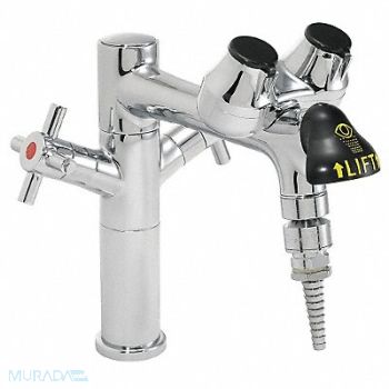 SPEAKMAN Eye/Face Wash Station Counter Chrome, 21YG78