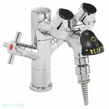 SPEAKMAN Eye/Face Wash Station Counter Chrome, 21YG80