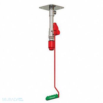 HUGHES SAFETY Drench Shower Ceiling Mount, 287T60