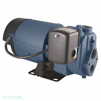 FLINT WALLING 3/4 HP Convertible Jet Pump 90 ft Lift, 24PR55