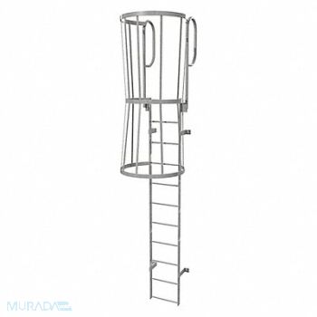 TRI-ARC Fixed Ladder w/ Safety Cage Steel 10 ft., 25NY98