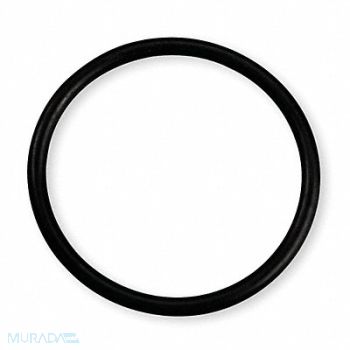 PROTO O Ring, 2Q120