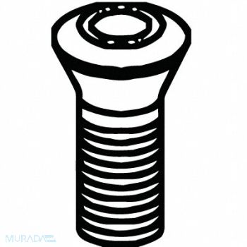 ERICKSON Screws Torx Plus M3.5 X 0.6 - 4H, 316PX4