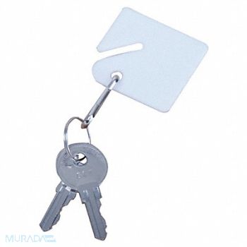 GRAINGER APPROVED Blank Key Tag Assorted PK50, 33J870