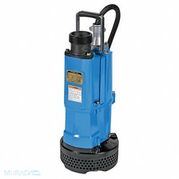 TSURUMI Plug-In Utility Pump 2 HP 110VAC, 38H477
