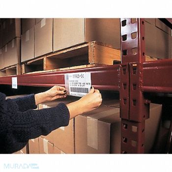 HOL-DEX Lbl Hldr Insrt Shts White 5 in 3 in PK50, 9NL77