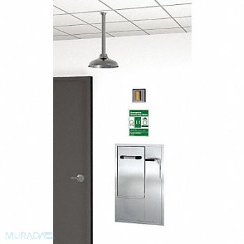 GUARDIAN EQUIPMENT Drench Shower With Face/Eyewash Silver, 3GUL6