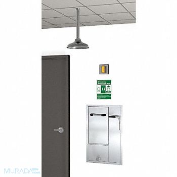 GUARDIAN EQUIPMENT Drench Shower With Face/Eyewash Silver, 3GUL7