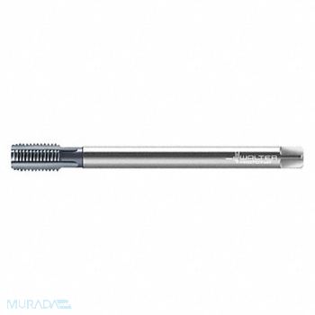 WALTER PROTOTYP Extension Tap M20x2.5 HSS, 427Z98