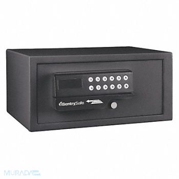 SENTRY SAFE Security Safe 0.4 cu ft 20lb. Black, 45DP82