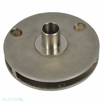 DAYTON Pump Impeller 100mm 304 SSteel For 4JMV3, 46K839