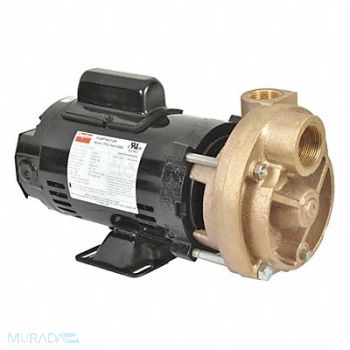 DAYTON Turbine Pump 3/4 HP 115 to 230V 3450 rpm, 53EA96