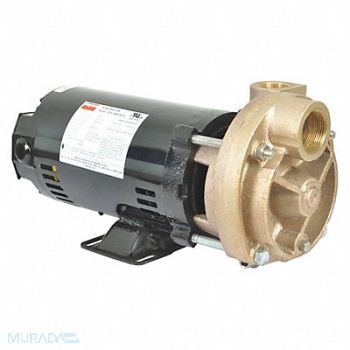 DAYTON Turbine Pump 3/4 HP 208-230 to 460V, 53EA97