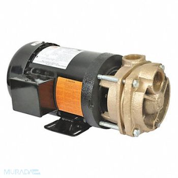 DAYTON Turbine Pump 2 HP 208-230 to 460V, 53EC02