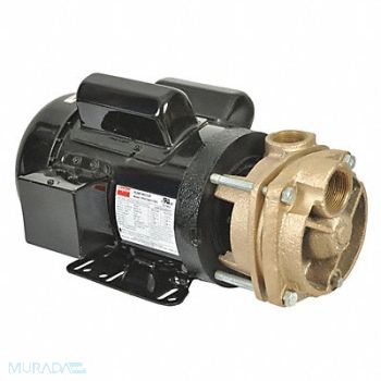 DAYTON Turbine Pump 2 HP 115 to 230V 3450 rpm, 53EC01