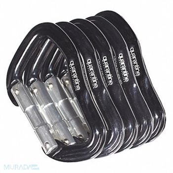 QUARANTINE RESTRAINTS Carabiner Metal Black 6 PK5, 54ZV57