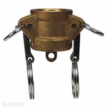 DIXON VALVE COUPLING Dust Cap Type DC Forged Brass 3/4, 55MH69