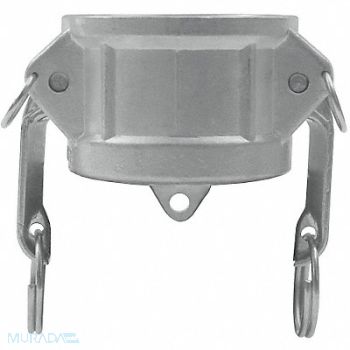 DIXON VALVE COUPLING Dust Cap Type DC Forged Brass 4, 5CGG3