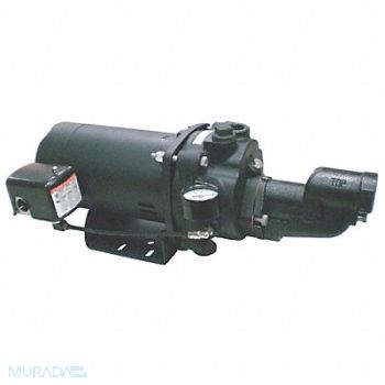 DAYTON 1-1/2 HP Shallow Well Jet Pump w/Ejector, 5UXK2