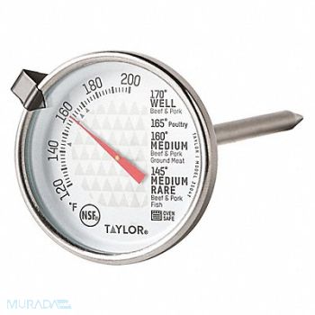 TAYLOR Oven Thermometer Analog 100 to 600 F, 6DKD7