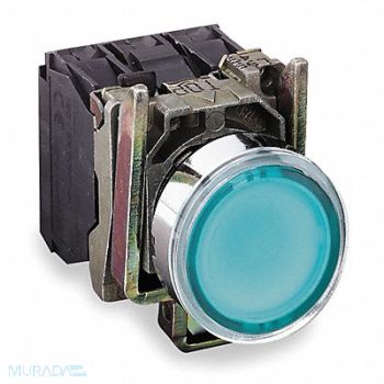 SCHNEIDER ELECTRIC Illuminated Push Button 22mm Green, 6HL09