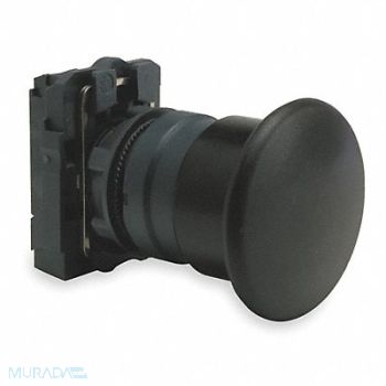 SCHNEIDER ELECTRIC Non-Illuminated Push Button 22mm Plastic, 6HL41