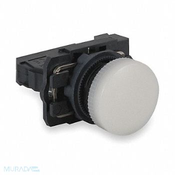 SCHNEIDER ELECTRIC Pilot Light Complete 22mm White, 6HL71