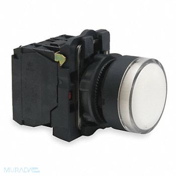 SCHNEIDER ELECTRIC Illuminated Push Button 22mm White, 6HL87