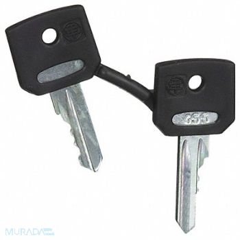 SCHNEIDER ELECTRIC Set of Keys Replacement 22mm, 6HZ23