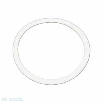 BENCHMARK SCIENTIFIC Replacement Gasket 50 mL, 792YA5