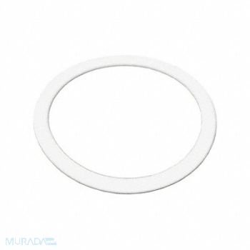 BENCHMARK SCIENTIFIC Replacement Gasket 25 mL, 792YA6