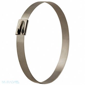 BAND-IT Band Ties 5/16 W Cable Tie 8 OD PK100, 802LV8