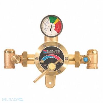 LEONARD VALVE Emergency Mixing Valve Bronze 1 in.NPT, 8AD43