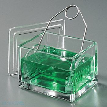 WHEATON Slide Staining Dish Glass 95x76x64mm Pk6, 9U808