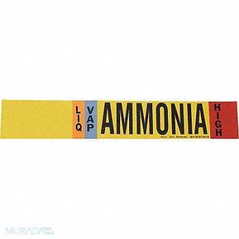 BRADY Pipe Marker Ammonia 2 1/4 in H 14 in W, 9WYR5