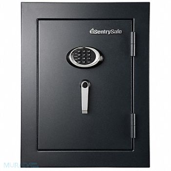 SENTRY SAFE Executive Fire Safe 3.4 cu ft Black, 6MPK6