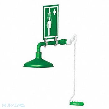HUGHES SAFETY Emergency Shower 20 gpm 1in NPT SS, 34RT83