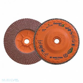 WALTER SURFACE TECHNOLOGIES Flap Disc Coated 5 dia 12 200 RPM, 804CG2