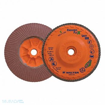 WALTER SURFACE TECHNOLOGIES Flap Disc Coated 5 dia 12 200 RPM, 804CG5