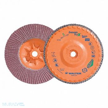 WALTER SURFACE TECHNOLOGIES Flap Disc Coated 6 dia 10 200 RPM, 804CG6