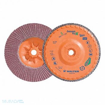 WALTER SURFACE TECHNOLOGIES Flap Disc Coated 6 dia 10 200 RPM, 804CG7