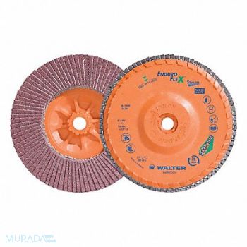 WALTER SURFACE TECHNOLOGIES Flap Disc Coated 6 dia 10 200 RPM, 804CG8