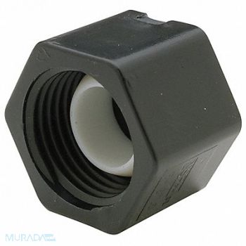 ZURN PEX Manifold Cap Polyalloy PEX Qickport, 10A548